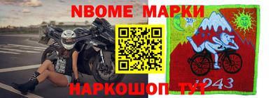 хмурый Сланцы