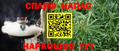 хмурый Сланцы