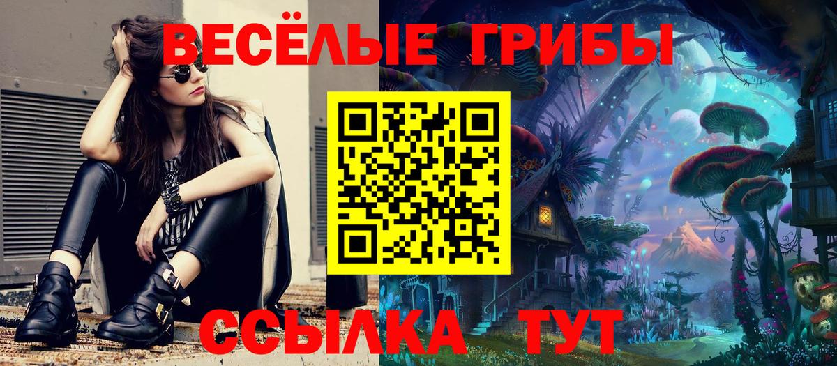 Псилоцибиновые грибы мицелий Партизанск
