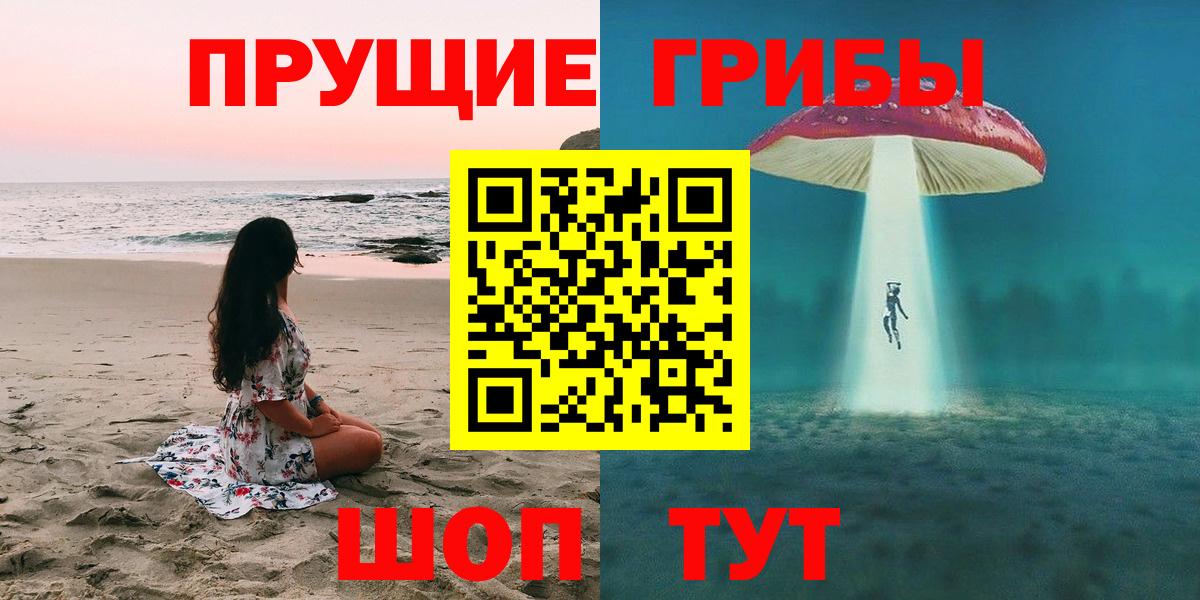 Галлюциногенные грибы Psilocybe  Вход с VPN  Партизанск 